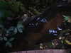 20200807095253-DSCN3791.JPG