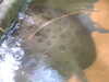 20200807095313-DSCN3793.JPG
