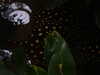 20200807095334-DSCN3795.JPG