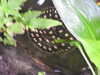 20200807095356-DSCN3798.JPG