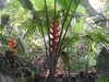 20200807095408-DSCN3799.JPG