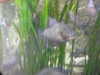 20200807095423-DSCN3800.JPG
