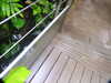20200807095444-DSCN3804.JPG