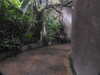 20200807095532-DSCN3807.JPG