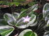20200807095538-DSCN3808.JPG