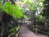 20200807095550-DSCN3809.JPG