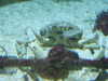 20200807095555-DSCF5179.JPG
