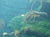 20200807100112-DSCF5183.JPG