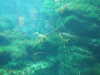 20200807100118-DSCF5184.JPG