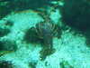 20200807100139-DSCF5185.JPG