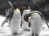 20200807100638-DSCN3817.JPG