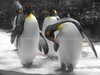 20200807100644-DSCN3818.JPG