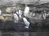 20200807101100-DSCN3828.JPG
