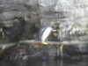 20200807101107-DSCN3829.JPG