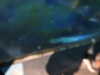 20200807101239-DSCN3836.JPG