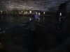 20200807101529-DSCN3845.JPG