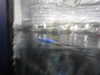 20200807101630-DSCN3849.JPG