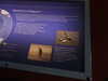 20200807101713-DSCN3851.JPG