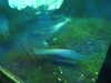 20200807101909-DSCN3853.JPG