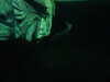 20200807102229-DSCN3864.JPG