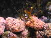 20200807102435-DSCN3871.JPG