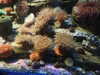 20200807102533-DSCN3873.JPG