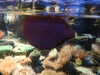 20200807102536-DSCN3874.JPG