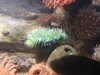 20200807102600-DSCN3876.JPG