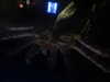 20200807102633-DSCN3879.JPG