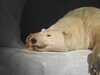 20200807102704-DSCN3882.JPG