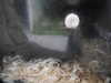 20200807103127-DSCN3888.JPG