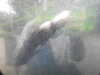 20200807103224-DSCN3889.JPG