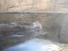 20200807103305-DSCN3895.JPG