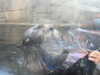 20200807103315-DSCN3896.JPG
