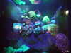 20200807103337-DSCF5191.JPG
