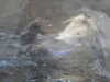 20200807103341-DSCN3903.JPG