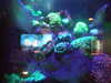 20200807103346-DSCF5192.JPG