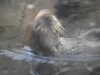 20200807103350-DSCN3904.JPG