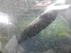 20200807103426-DSCN3906.JPG