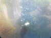 20200807103442-DSCN3907.JPG