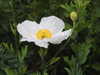 20200807103511-DSCN3909.JPG