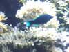 20200807103536-DSCF5195.JPG