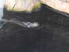 20200807103714-DSCN3911.JPG