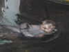 20200807103730-DSCN3913.JPG