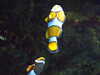 20200807104304-DSCF5197.JPG