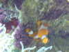 20200807104309-DSCF5198.JPG