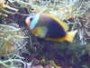 20200807104326-DSCF5199.JPG