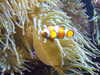 20200807104331-DSCF5200.JPG