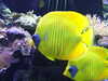 20200807104342-DSCF5201.JPG