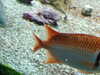 20200807105012-DSCF5206.JPG